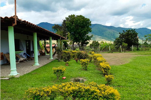 Imagen 2 de 10 de Fd Asein P1454 Vende Hermosa Finca En Chirgua Sector El Leon Municipio Bejuma Del Edo. Carabobo