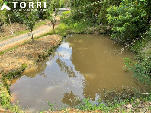 Imagem 3 de 30 de Chácara Á Venda 14.000,00 Metros No Bairro Dos Luz - Ch00418 - 70503143