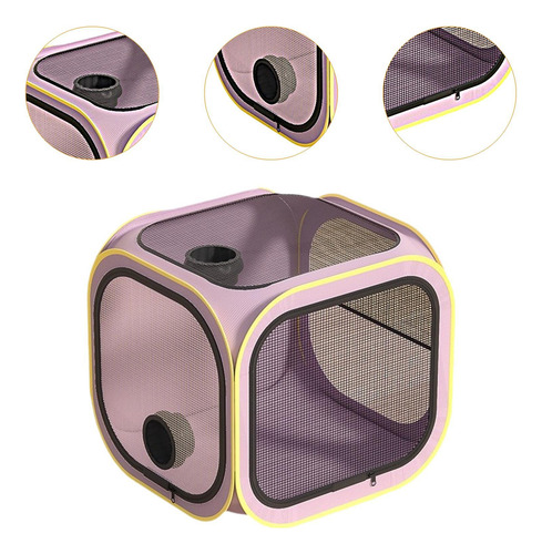Secador De Pelo Para Perros Y Gatos, Habitación Limpia Y De