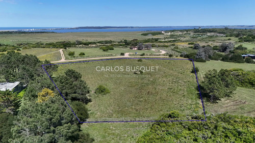 Chacra En Venta De 1 Ha. En Jose Ignacio, Zona Medellin