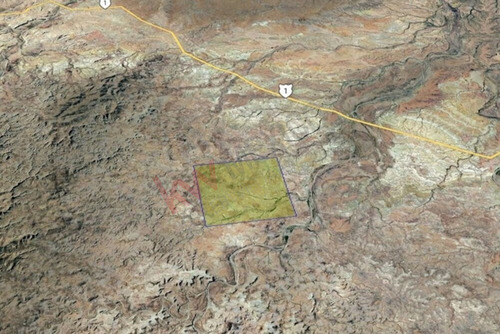Terreno De 1,000 Ha En Km 97 Carretera A C.constitucion Con Ojo De Agua B.c.s.