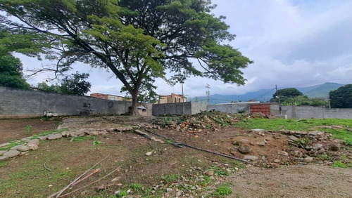 252053 Am* Alquiler De Terreno En Naguanagua