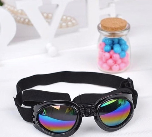 5 Gafas Perros Proteccion Uv Envio Gratis