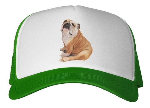 Gorra Bulldog Ingles Sentado Art