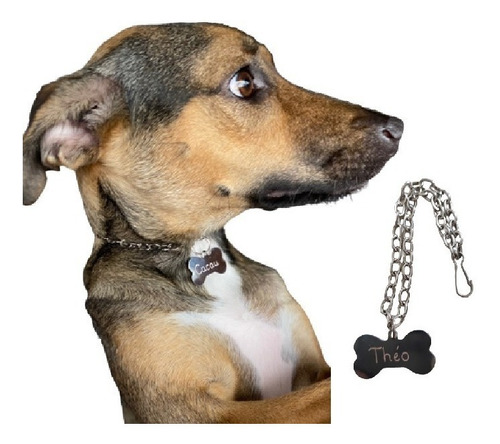 Corrente Com Plaquinha De Identificação Cachorro (tag Pet)