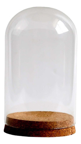 Y Cubierta De Cristal De Flores Preservadas, 10cmx16cm