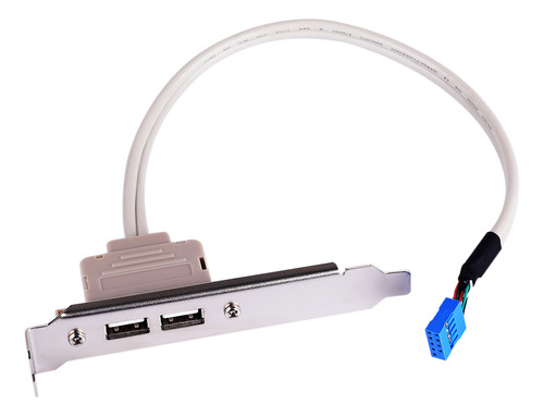 Cable Adaptador Expansion 2 Panel Trasero De Placa Base Usb