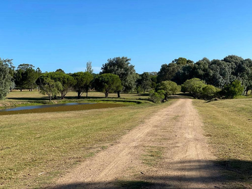 Imagen 7 de 16 de Venta! Terrenos En Nuevo Barrio Privado En La Barra