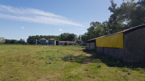 Imagen 25 de 30 de Campo - Navarro