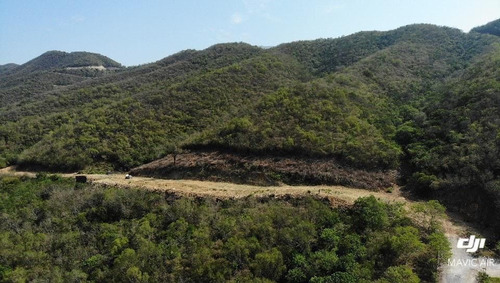 Imagen 1 de 4 de Carretera Nacional Terreno En Venta 132 Hectáreas