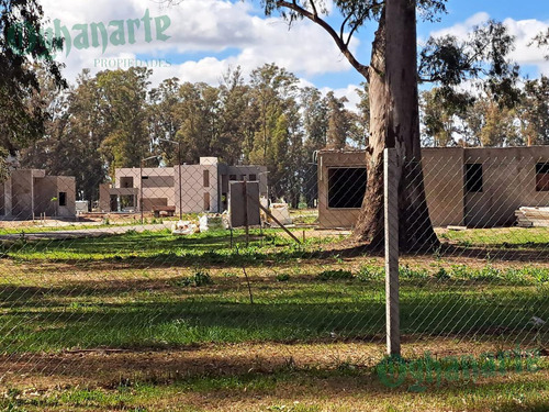 Imagen 12 de 18 de Oferta - Venta Lote En Tres Pinos - Gral. Rodriguez.