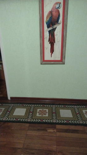Lindo Apartamento Próximo A Região Central De Santo André.