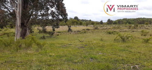 Venta De Terreno De 15 Ha. En Caulín Alto, Comuna De Ancud