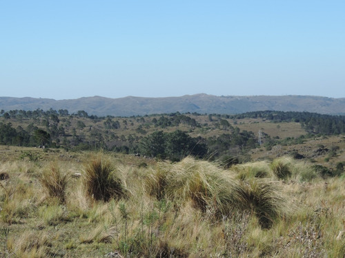 Imagen 4 de 4 de Lote A 12 Km De San Clemete! Hermosa Vista