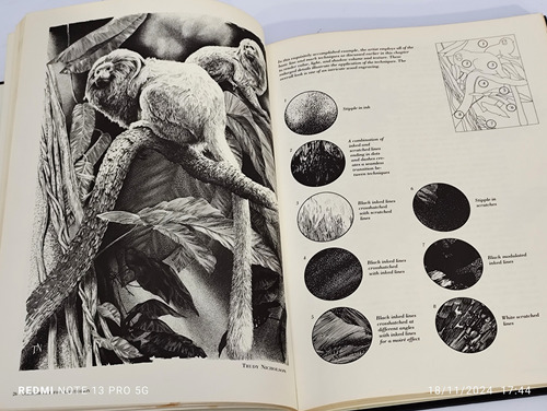 Scratchboard For Illustration - Ruth Lozner (Usado)