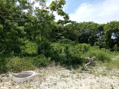 Imagen 5 de 8 de Terreno En Venta Revolucionaria