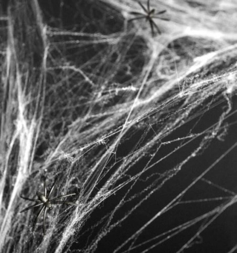 Imagem 2 de 6 de 63pc Decorações De Halloween Realistas Da Teia De Aranha A