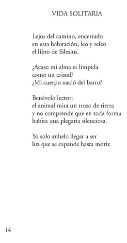 Los Cuadernos Perdidos De Robert Walser