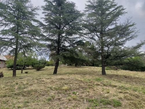 Imagen 10 de 13 de Vendo Lote En Lago Azul Con Vista Al Lago