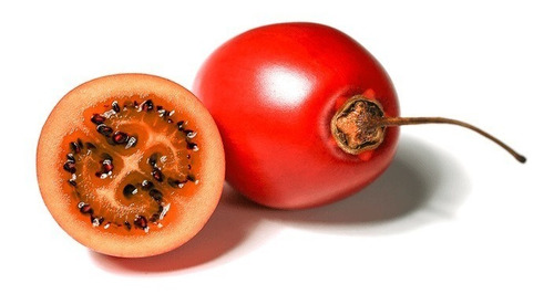 Semillas De Tomate De Árbol Tamarillo