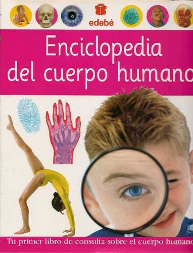 Libro Enciclopedia Del Cuerpo Humano De Edebe