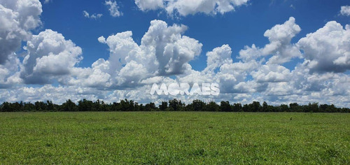 Imagem 17 de 18 de Fazenda Na Região De Bauru À Venda, 118 Alq Por R$ 15.000.000 - Bauru - Bauru/sp - Fa0016