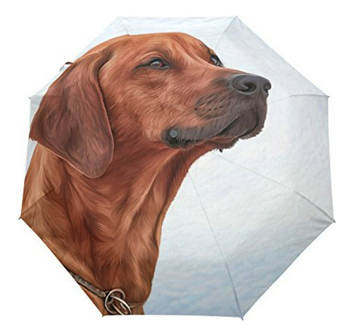 Sombrilla O Paraguas - My Daily Rhodesian Ridgeback Dog Trav