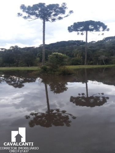 Imagem 21 de 30 de Chacara - Ch00005 - 4237262