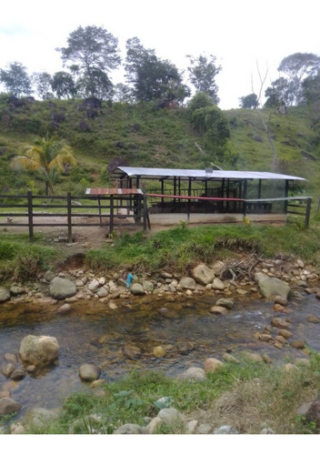 Imagen 15 de 23 de Cf. Se Vende Finca En La Fría, Cerca De La Termoeléctrica