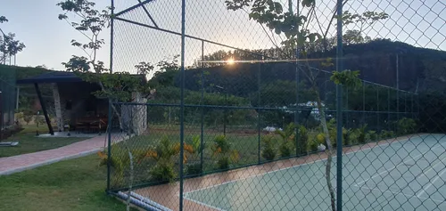 Lote