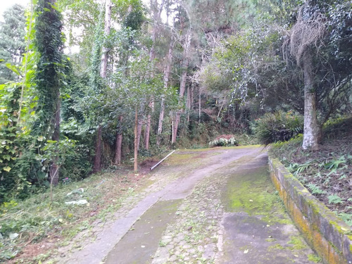 Imagem 5 de 26 de Sítio De 40.000 M² Localizado À 4 Km Da Rodovia, Com Ótima Vizinhança! - 72 - 34093730