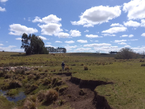 Imagen 6 de 10 de 353 Hectáreas En Lavalleja, Con Casa, Galpón Y Arroyo