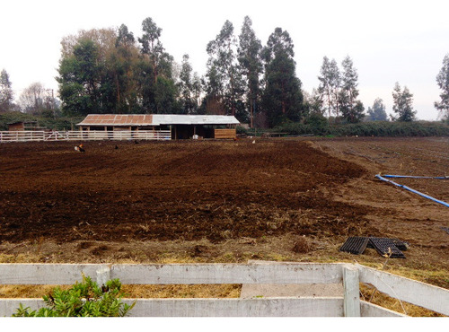 Terreno De 4 Hectáreas Con Casa Y Cabaña Excelente Ubicación