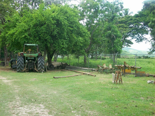 Imagen 7 de 22 de Documento Legal, Comprada Al Banco Agrícola Y Pecuario. Estudio De Origen Legal De La Propiedad