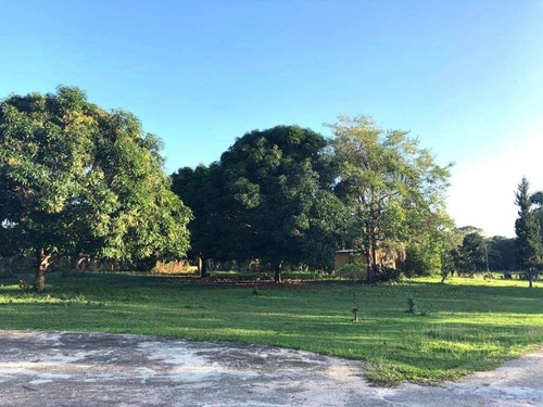 Imagen 9 de 14 de ( Hacienda De 1300 Tareas) Ganadera Los Llanos