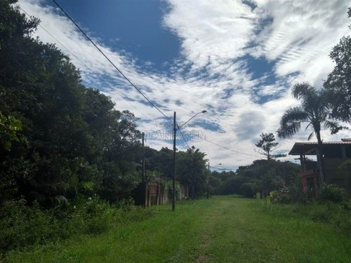 Imagem 1 de 7 de Terreno - Venda - Jd Palmeiras - Itanhaem - Ita2798