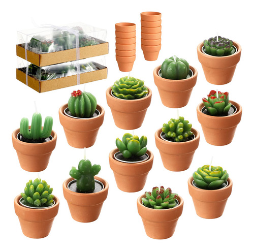 12 Velas De Suculentas Hechas A Mano, Velas De Cactus Delica