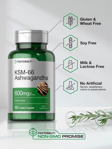 Suplemento Horbaach Ksm-66 Ashwagandha 600 Mg 60 Cápsulas