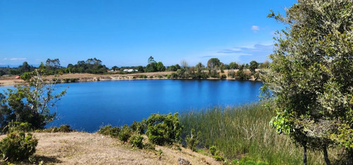 Venta Terreno-sitio  Sector Rulo En Calbuco