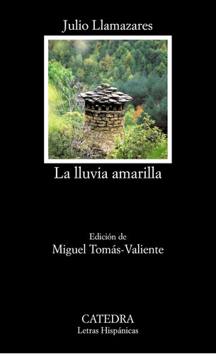 Libro La Lluvia Amarilla - Llamazares, Julio