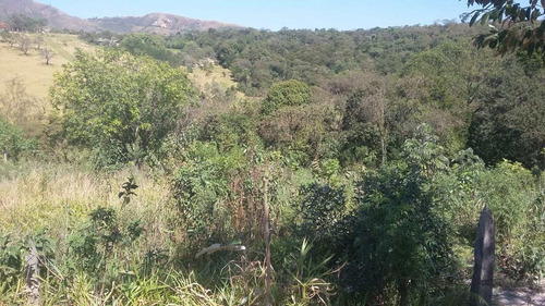 Imagem 4 de 4 de Terreno, Parque Laranjeiras, Pirapora Do Bom Jesus - R$ 150 Mil, Cod: 235161 - V235161