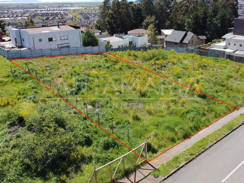 Sitio En Venta En Concepción
