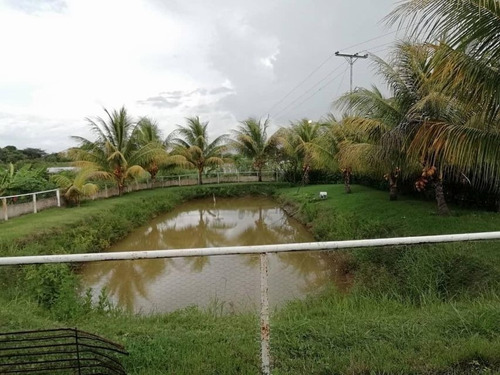 Imagen 13 de 14 de Karen Freites Rentahouse Mp 22f204 Safari Country Club