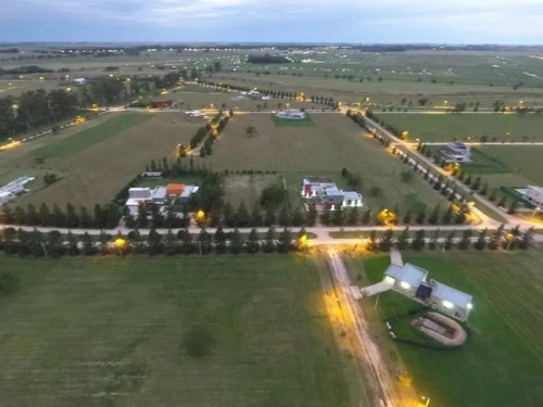 Imagen 8 de 11 de Terreno - Campos De Roca