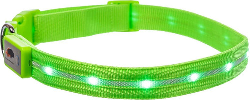 Collar Led De Seguridad Para Perro Recargable Usb Talle M