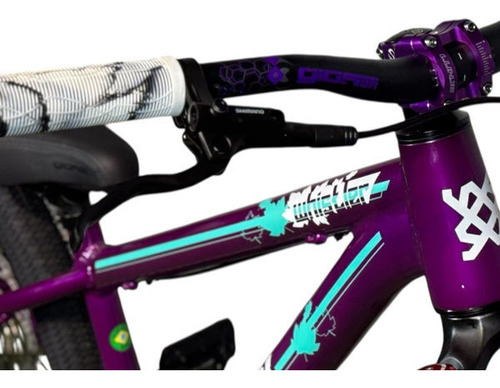 Bicicleta Hupi Whistler Roxa Aro 26 Wheeling/grau