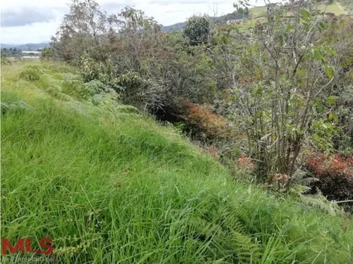 Lote Independiente En El Alto De Las Palmas(mls#238569)