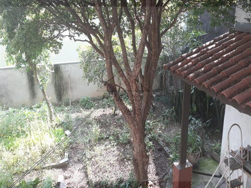 Imagem 11 de 11 de Terreno Vila Guilhermina São Paulo/sp - 1186