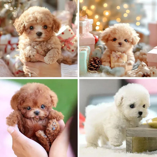 Apto Para Robot-puppy, My Realistic Robot Puppy, Milow