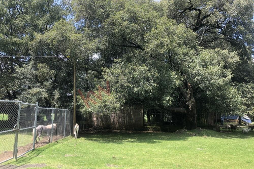 Vendo Terreno En Dos Ríos Prolongación San Frenando, Huixquilucan